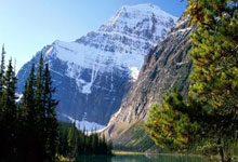 申花:趁你病害死你！泰山:不需要你做什么 我就自杀！