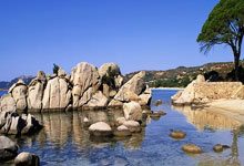 泰山队的学费不值得 他们距离本赛季中超冠军越来越远